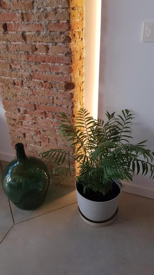 Loft Mariola - Apartamento En El Centro Historico Bocairent Dış mekan fotoğraf